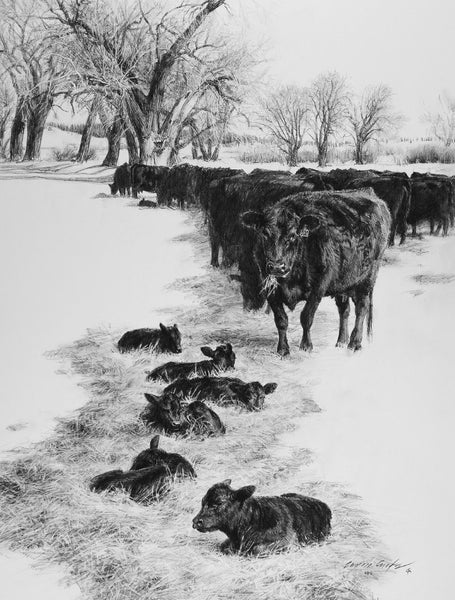 "A Warm Spot In The Sun"