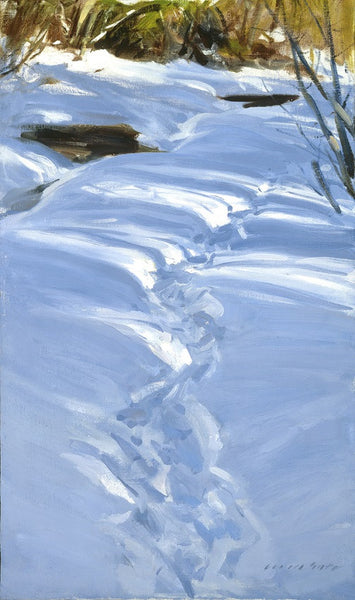 "My Tracks In Winter"