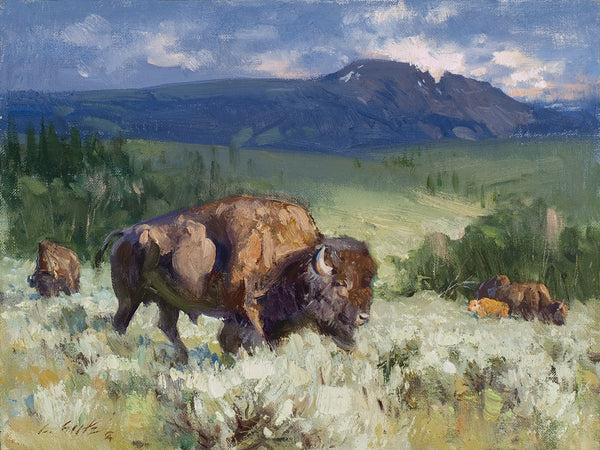 "Sleeping Indian - Buffalo Safe"