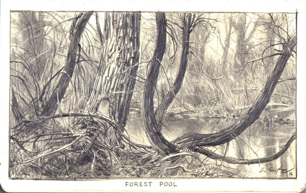 "Forest Pool"